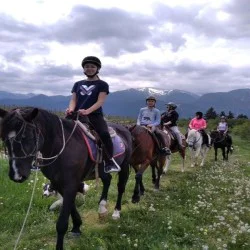 Разходка с кон – в такт с природата на Боровец