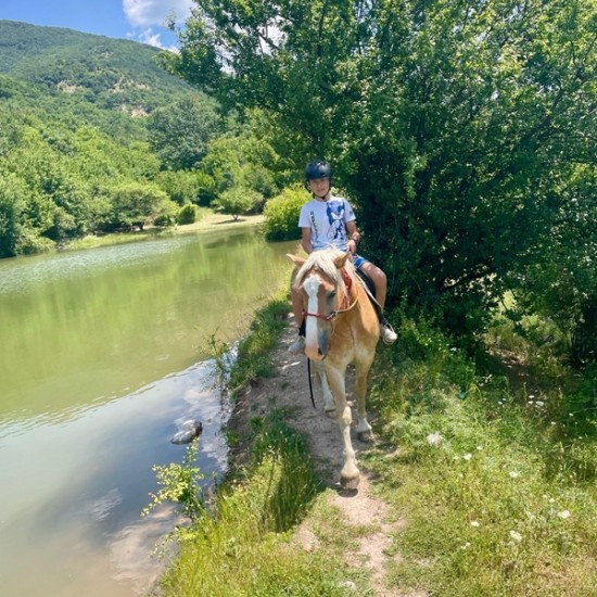 Peace, beauty and... horses - enjoy Horseback riding in the nature of the Balkan Mountains and the village of Karnare from Makaroon Peace, beauty and... horses - enjoy Horseback riding in the nature of the Balkan Mountains and the village of Karnare from Makaroon
