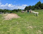Спокойствие, красота и... коне - насладете се на Конна езда из природата на Стара планина и с. Кърнаре от Makaroon