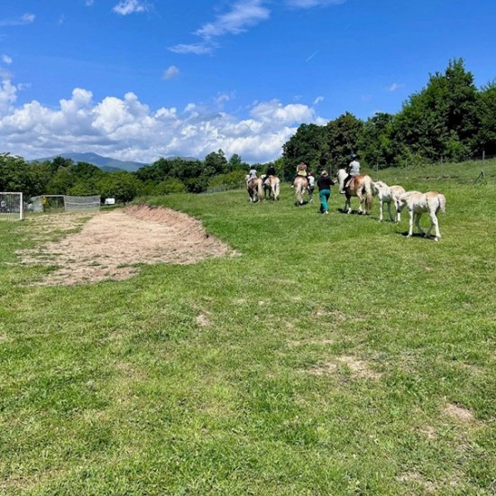 Peace, beauty and... horses - enjoy Horseback riding in the nature of the Balkan Mountains and the village of Karnare from Makaroon Peace, beauty and... horses - enjoy Horseback riding in the nature of the Balkan Mountains and the village of Karnare from Makaroon