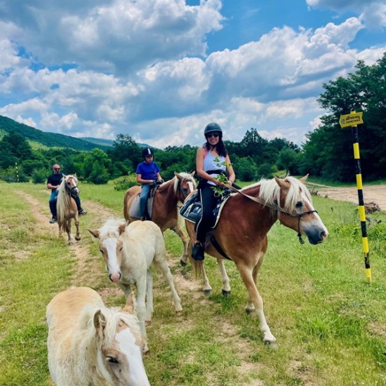 Peace, beauty and... horses - enjoy Horseback riding in the nature of the Balkan Mountains and the village of Karnare from Makaroon Peace, beauty and... horses - enjoy Horseback riding in the nature of the Balkan Mountains and the village of Karnare from Makaroon