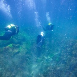 Enter the world of diving with "PADI Discover Scuba Diving at Sea" in Pomorie