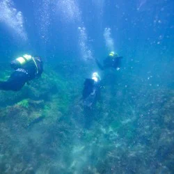 Навлезте в света на гмуркането с „PADI Discover Scuba Diving в море“ в района на гр. Поморие Навлезте в света на гмуркането с „PADI Discover Scuba Diving в море“ в района на гр. Поморие