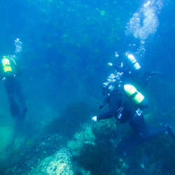 Enter the world of diving with "PADI Discover Scuba Diving at Sea" in Pomorie