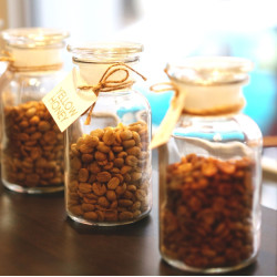 Become a coffee master with the "Amateur Barista Course"