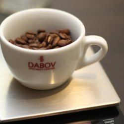 Make the perfect espresso with the "Espressology Course"