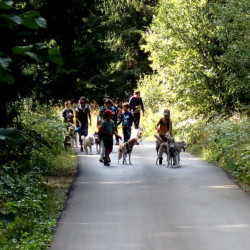 Приключение с кучешки впряг в планината за трима