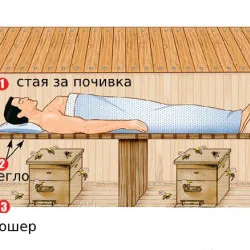 Станете част от кошера с „Пчелна стая“ за двама Станете част от кошера с „Пчелна стая“ за двама