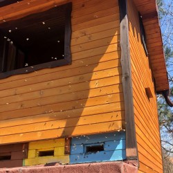 Станете част от кошера с „Пчелна стая“  за двама Станете част от кошера с „Пчелна стая“  за двама