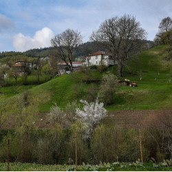 Работилница за кус-кус и синдермьо в Могилица за двама Работилница за кус-кус и синдермьо в Могилица за двама