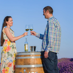 Специален винен и исторически тур за трима в ДиВес Естейт, Поморие