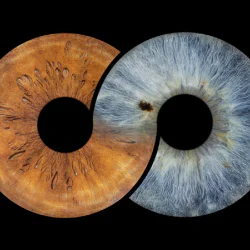 Превърнете вашите очи в уникална картина с ирисова фотография в Пловдив Превърнете вашите очи в уникална картина с ирисова фотография в Пловдив