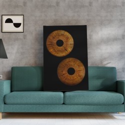 Turn your eyes into a unique picture with iris photography in Varna  - two irises in a frame