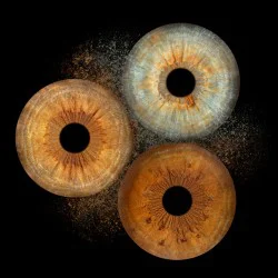 Превърнете вашите очи в уникална картина с ирисова фотография във Варна - заснемане на три ириса 