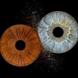 Превърнете вашите очи в уникална картина с ирисова фотография в Пловдив  - заснемане на четири ириса в рамка