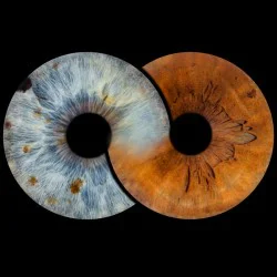 Превърнете вашите очи в уникална картина с ирисова фотография на два ириса в Пловдив в рамка Превърнете вашите очи в уникална картина с ирисова фотография на два ириса в Пловдив в рамка