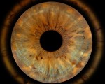 Превърнете вашите очи в уникална картина с ирисова фотография в София от Makaroon Превърнете вашите очи в уникална картина с ирисова фотография в София от Makaroon