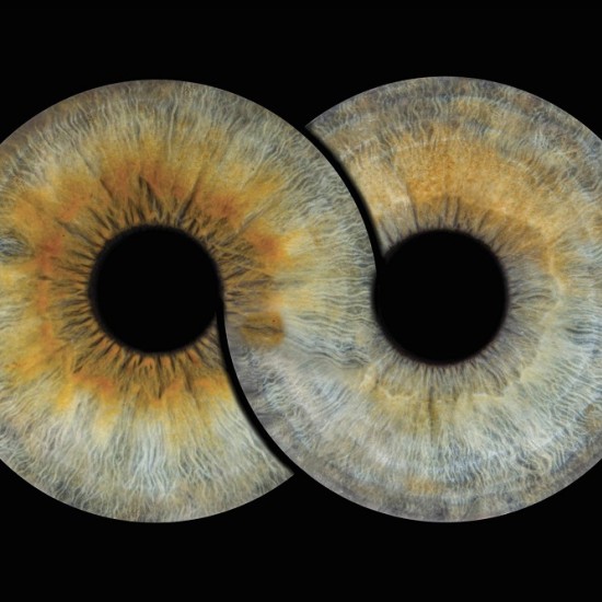 Превърнете очите си в произведение на изкуството с "Ирисова фотография във Варна" от Makaroon