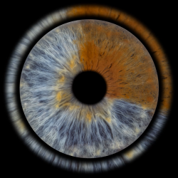 Превърнете вашите очи в уникална картина с ирисова фотография в София- заснемане на четири ириса в рамка