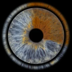 Превърнете вашите очи в уникална картина с ирисова фотография в София- заснемане на четири ириса в рамка