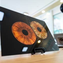 Превърнете вашите очи в уникална картина с ирисова фотография на два ириса в София