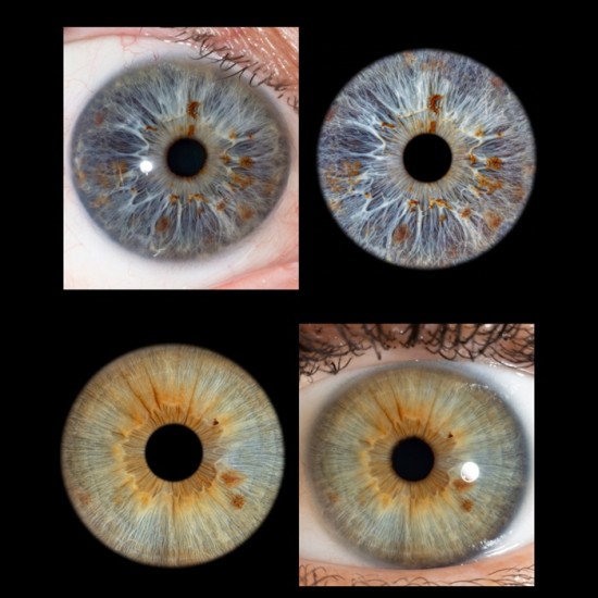 Превърнете вашите очи в уникална картина с ирисова фотография  в София от Makaroon