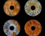 Превърнете вашите очи в уникална картина с ирисова фотография в Пловдив от Макароон