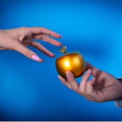 Enter the fairy tale with the Golden Apple and the Dragon escape room for five