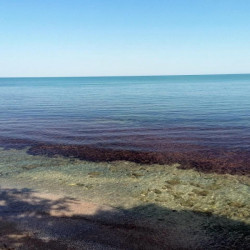 Diving for beginners in the archeological reserve in Nessebar Diving for beginners in the archeological reserve in Nessebar