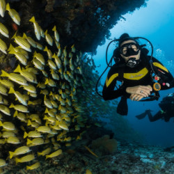 Diving in Halkidiki for beginners: Discover Scuba Diving