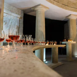 Винен тур и дегустация на 7 вина в комплекс Старосел за двама