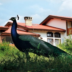 Wine tour and tasting of 5 wines in Starosel complex for two