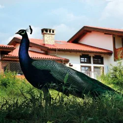 Винен тур и дегустация на 5 вина в комплекс Старосел за двама