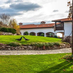 Винен тур и дегустация на 5 вина в комплекс Старосел за двама