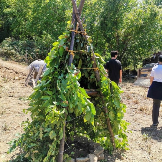 What is it like to survive in a natural environment? Learn with optional Bushcraft training near Tryavna from Makaroon