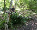 What is it like to survive in a natural environment? Learn with optional Bushcraft training near Tryavna from Makaroon