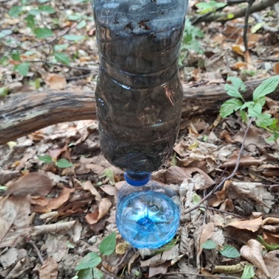 What is it like to survive in a natural environment? Learn with optional Bushcraft training near Tryavna from Makaroon