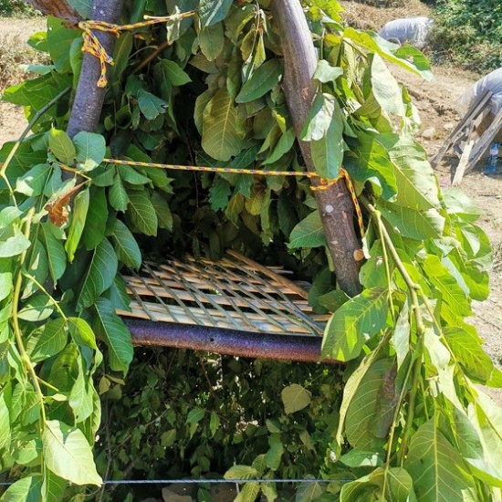 What is it like to survive in a natural environment? Learn with optional Bushcraft training near Tryavna from Makaroon