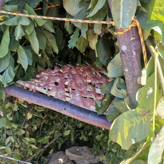 What is it like to survive in a natural environment? Learn with optional Bushcraft training near Tryavna from Makaroon