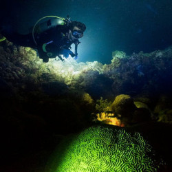 A unique gift - night diving near Nessebar 