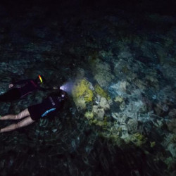 Уникален подарък - Нощен шнорхелинг за двама души