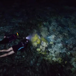 Уникален подарък - Нощен шнорхелинг за двама души Уникален подарък - Нощен шнорхелинг за двама души