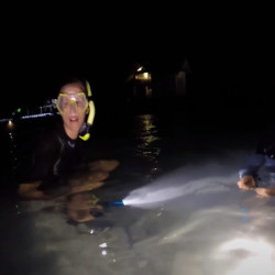 Уникален подарък - Нощен шнорхелинг 