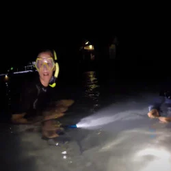 Уникален подарък - Нощен шнорхелинг 