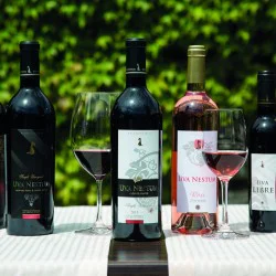 Дегустация на вино за двама от изба Uva Nestum Дегустация на вино за двама от изба Uva Nestum