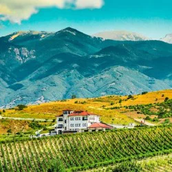 Разпусни с любимия човек: Винен урок и дегустация за четирима във вила Мелник