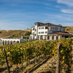 Разпусни с любимия човек: Винен урок и дегустация за двама във вила Мелник