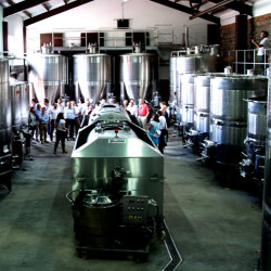 Wine pleasure: Tasting five types of wine for two people in villa Yustina