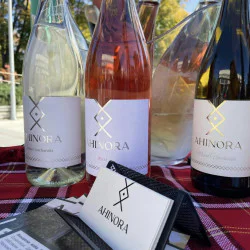 Дегустация за двама във винарска изба Ахинора в с. Селановци