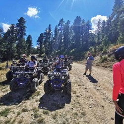 Give a dose of adrenaline with "Riding an ATV 450cc for 1 hour" in Dobrinishte